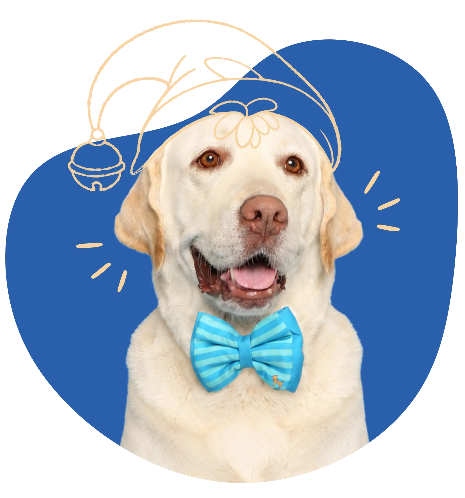 Dog 2